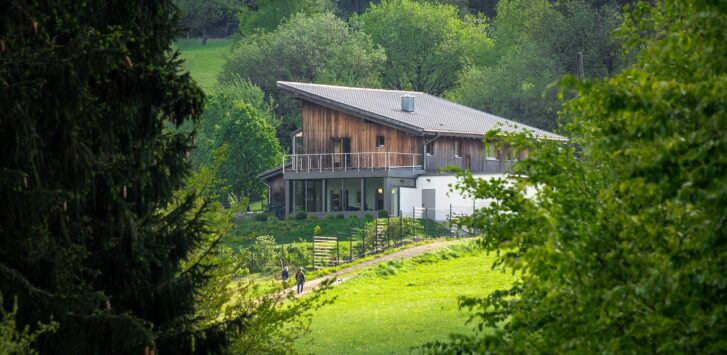 Ein ruhiger Straßenzug mit Einfamilienhäusern symbolisiert den leistbaren Wohnungsmarkt bei Mieten im Burgenland – Foto: Didgeman / Pixabay